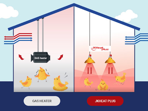 Tại sao nên chọn đèn hồng ngoại sưởi ấm cho gà Heatplus của JK Lighting?
