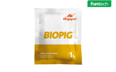 Tối ưu hiệu quả phối giống với Biopig – Môi trường pha tinh 3 ngày chuyên dụng