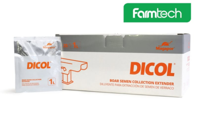 DICOL MAGAPOR – GIẢI PHÁP KIỂM SOÁT NHIỄM KHUẨN HIỆU QUẢ TRONG KHAI THÁC TINH HEO