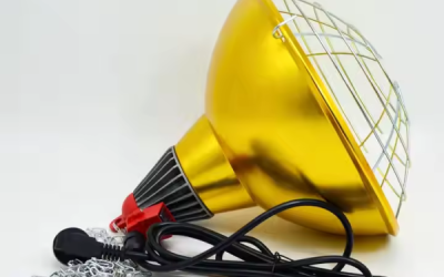 Chao đèn giá rẻ – Giải pháp tiết kiệm và hiệu quả cho hệ thống chiếu sáng trang trại