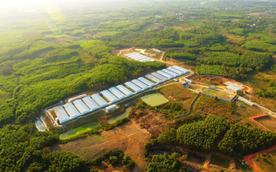 Điều kiện xây dựng trang trại chăn nuôi – Những yêu cầu bắt buộc và giải pháp tối ưu cho nhà đầu tư