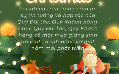 CHÚC MỪNG GIÁNG SINH 2025