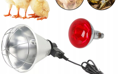 Chao Đèn Dùng Để Làm Gì? Vai Trò Quan Trọng Của Chao Đèn Trong Chăn Nuôi Hiện Đại