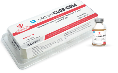 Vaccine E.coli cho heo con: Giải pháp phòng bệnh tiêu chảy hiệu quả và bền vững