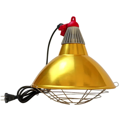 Chóa đèn vàng lớn