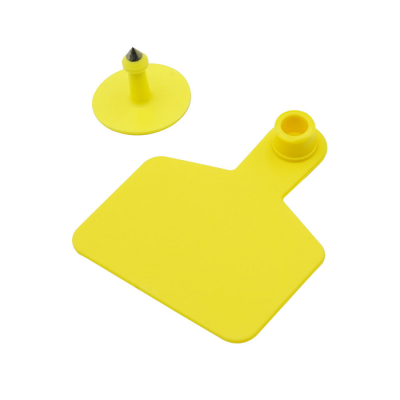 Thẻ tai Bò Allflex vàng, xanh