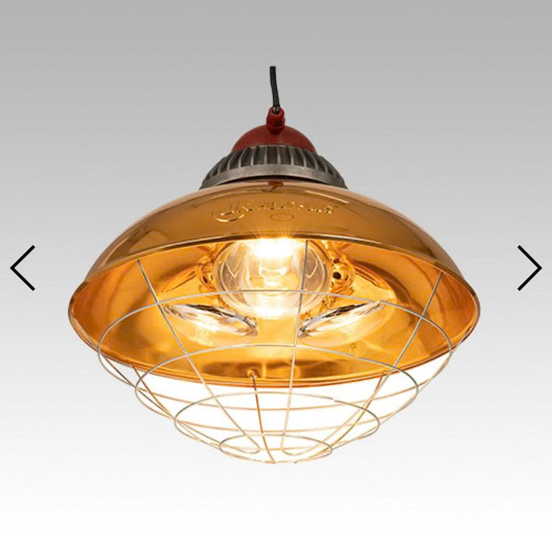 Chóa đèn JKBL-450 – Giải pháp sưởi ấm hiệu quả cho trang trại chăn nuôi