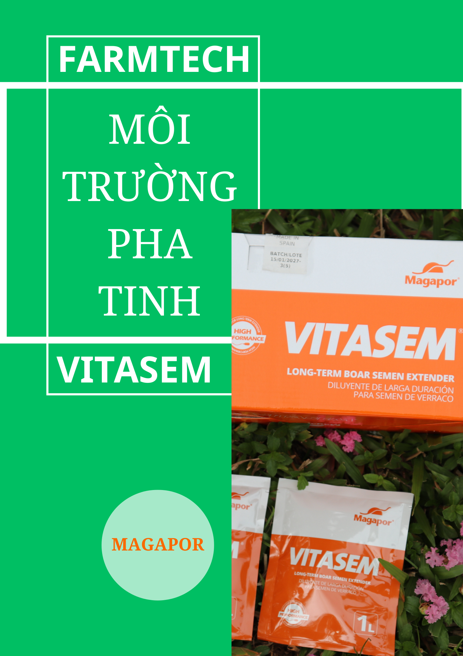 Môi Trường Pha Tinh Heo 7 Ngày – Giải Pháp Bảo Quản Tinh Heo Hiệu Quả Trong Chăn Nuôi Hiện Đại