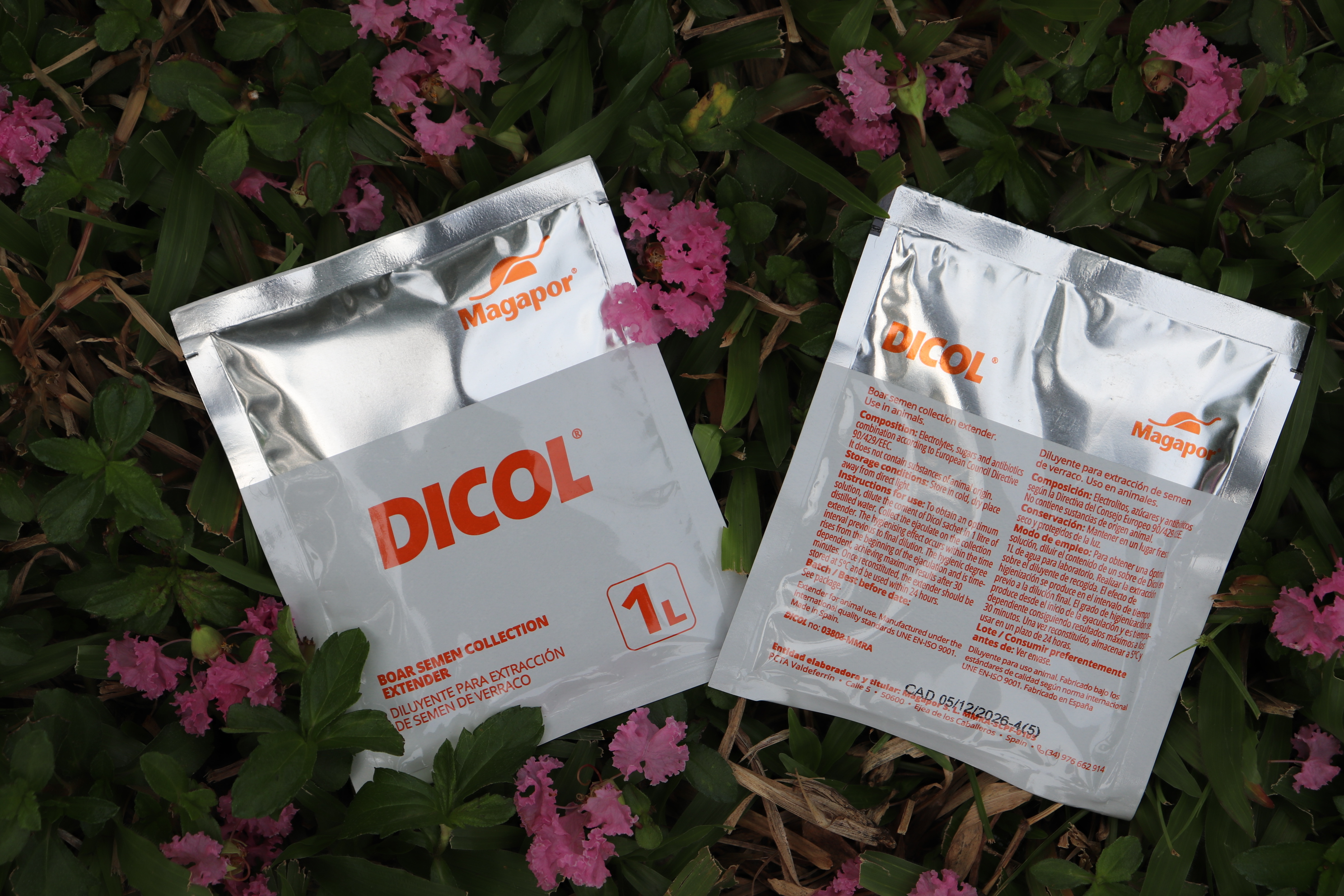 Cách sử dụng bột khử khuẩn Dicol của Magapor đúng chuẩn trong chăn nuôi
