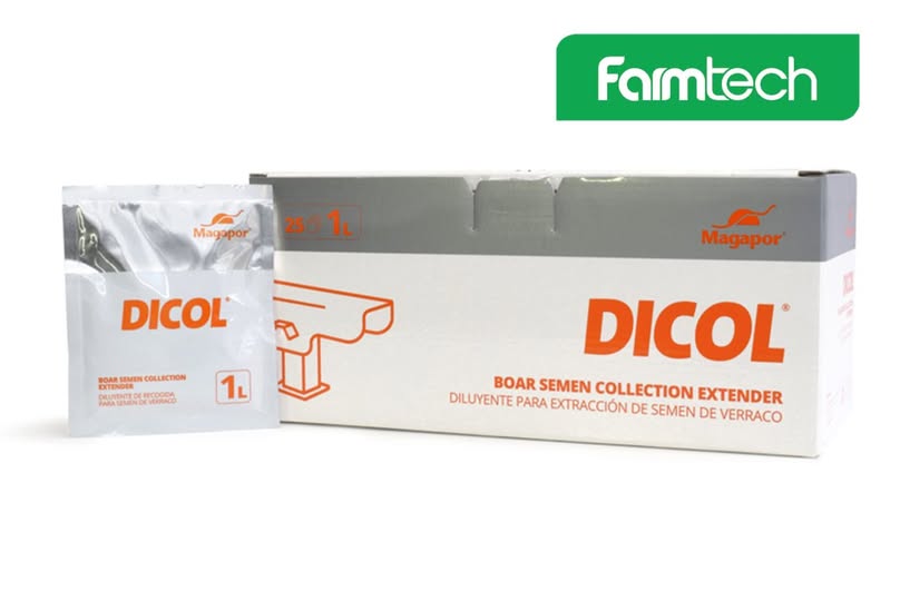 DICOL MAGAPOR – GIẢI PHÁP KIỂM SOÁT NHIỄM KHUẨN HIỆU QUẢ TRONG KHAI THÁC TINH HEO
