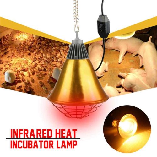 Chóa bóng đèn – Tối ưu chiếu sáng và sưởi ấm cho chuồng trại chăn nuôi