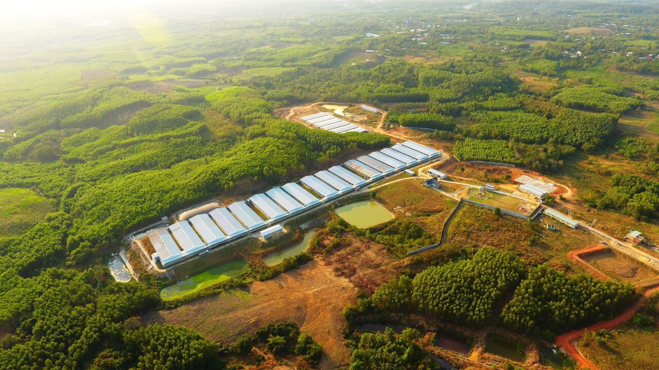 Điều kiện xây dựng trang trại chăn nuôi – Những yêu cầu bắt buộc và giải pháp tối ưu cho nhà đầu tư
