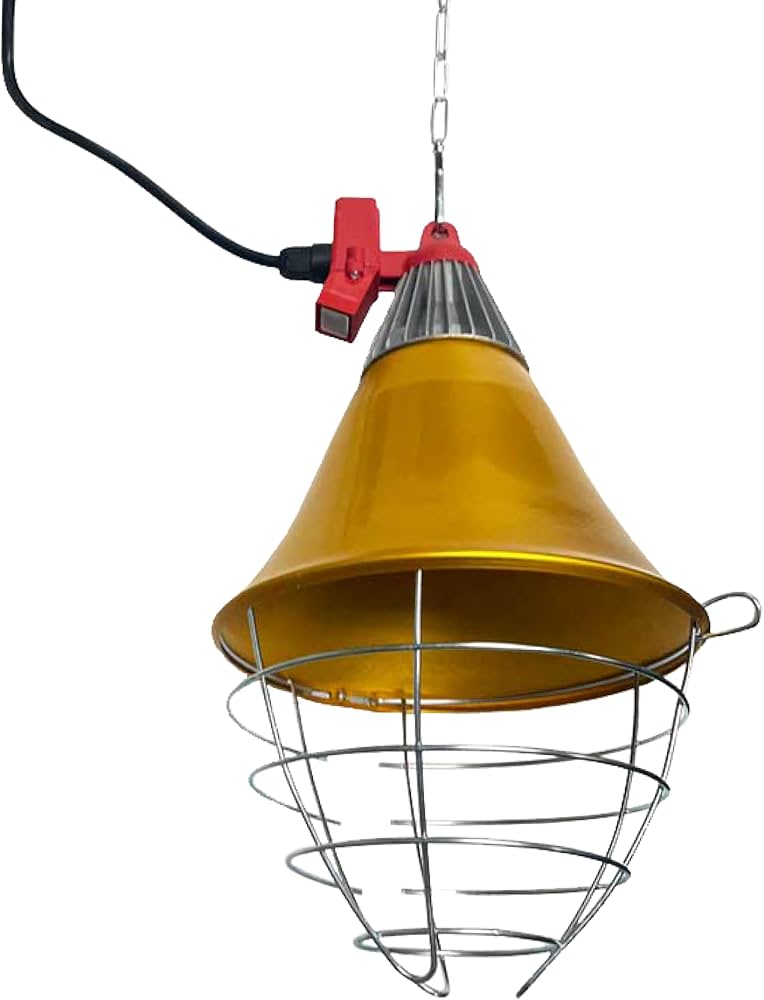 Tác dụng của chao đèn – Giải pháp chiếu sáng hiệu quả cho trang trại chăn nuôi