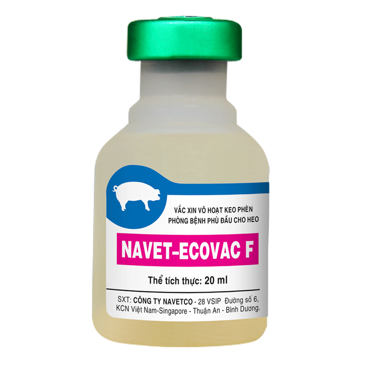 Vaccine E.coli cho heo con: Giải pháp phòng bệnh tiêu chảy hiệu quả và bền vững