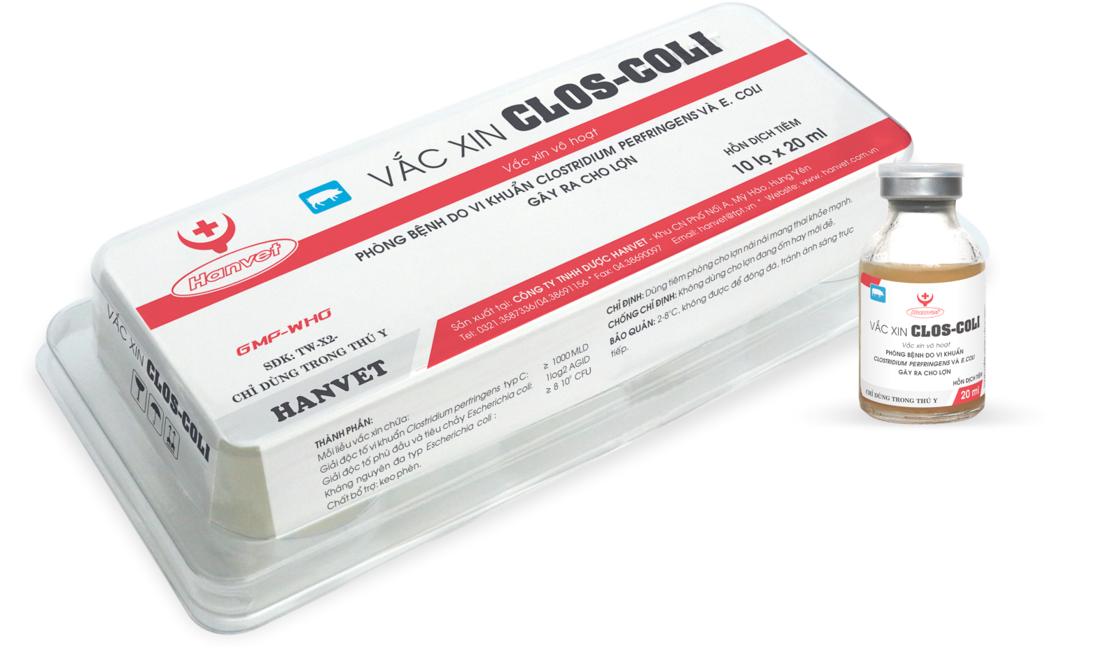 Vaccine E.coli cho heo con: Giải pháp phòng bệnh tiêu chảy hiệu quả và bền vững